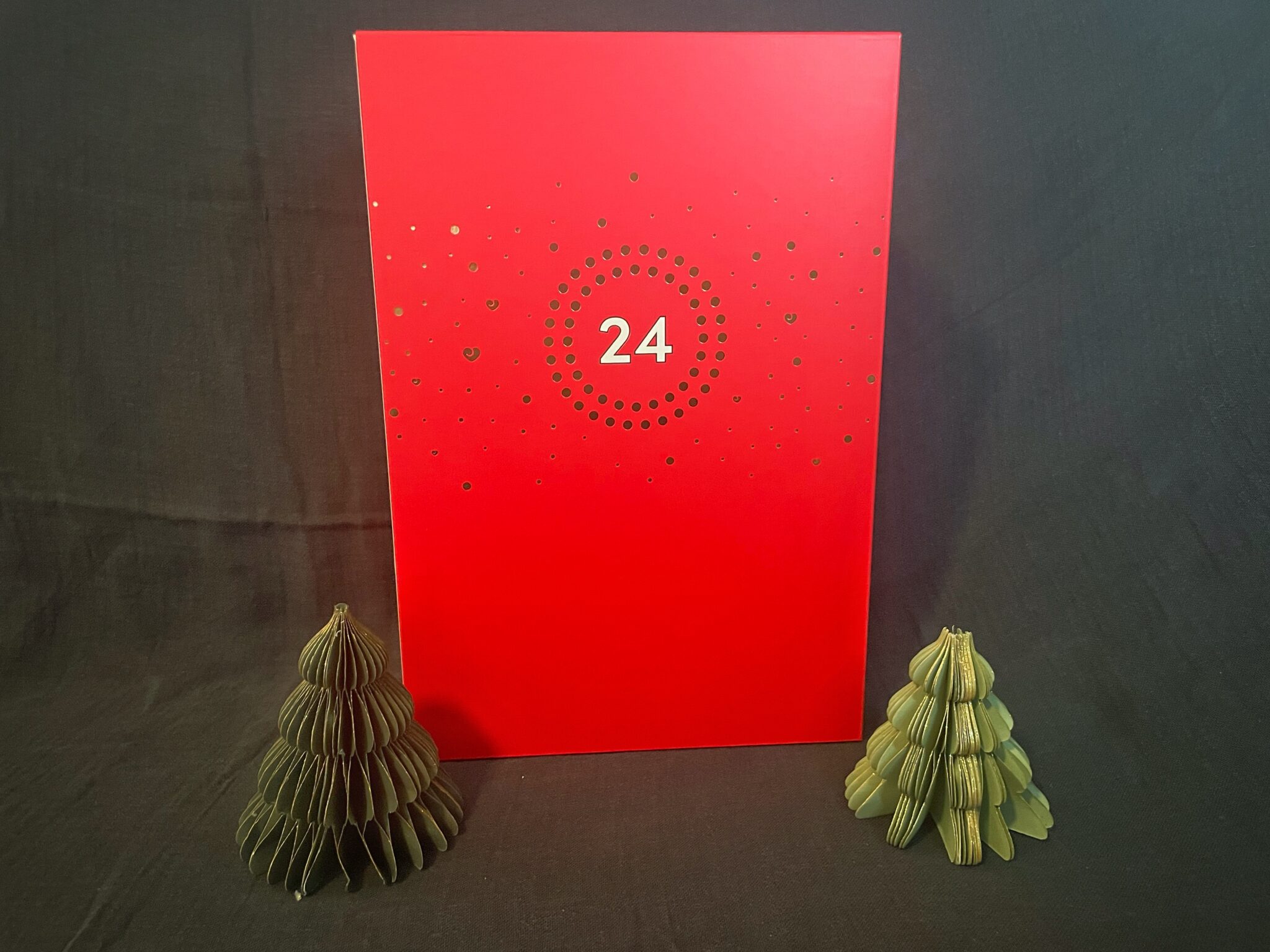 Lovehoney x Womanizer Sex Toy Advent Calendar (24 day) Packaging